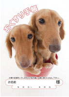 おくすり手帳 表紙5(犬)