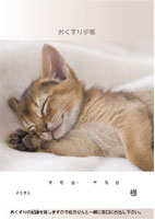 おくすり手帳 表紙6(猫)