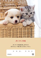 おくすり手帳 表紙2（犬・猫）