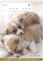 おくすり手帳 表紙3(犬)